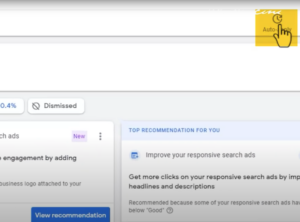 Locate Auto Apply in Google Ads account Settings and turn it off