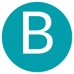 Review Mancini Digital